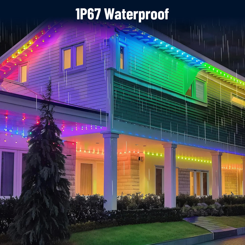 TheHomelogy™ Smart Festive Light