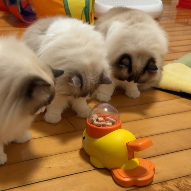 PetLogy™ Treat Dispenser