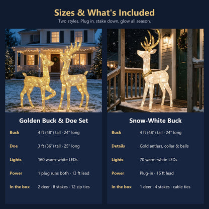 Lighted reindeer sizes and what's included
