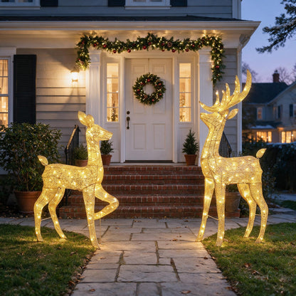 Lighted reindeer pair either side of front steps