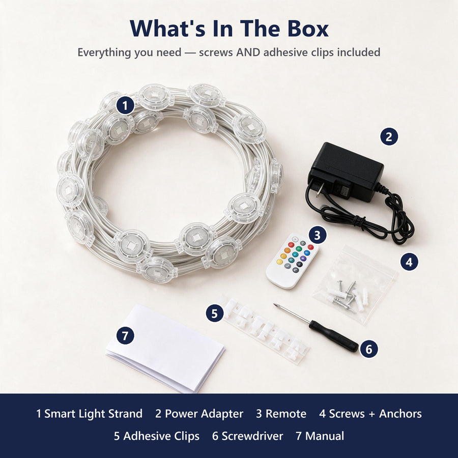 What's in the box