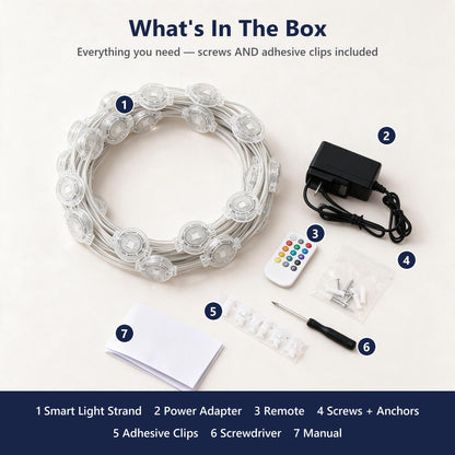 What's in the box: lights, adapter, remote, screws, adhesive clips, screwdriver, manual
