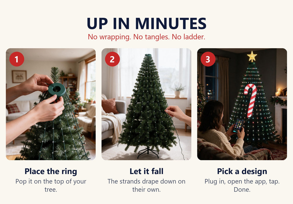 3 steps to set up Yulora